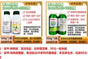 四月份柑橘病蟲害防治圖_柑橘春天剛冒芽打藥配方