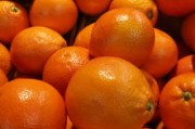 明日見(jiàn)柑橘品種好不好看呀視頻教程（明日見(jiàn)柑橘前景怎么樣）