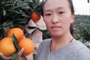 愛媛30號柑桔市場價_愛媛58號柑橘品種介紹