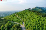 李老師柑橘種植技術(shù)_8一9百米的海拔適合種什么水果
