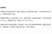 柑橘檸檬種植技術(shù)_檸檬爛葉子怎么辦
