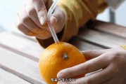 愛媛果凍橙多少錢一斤_愛媛果凍橙種植耐幾度低溫