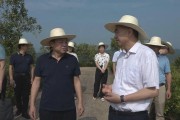 柑橘種植技術培訓方案_柑橘從什么時候開始催熟