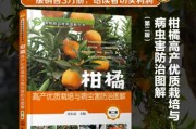 柑橘常見(jiàn)病害及其防治論文(柑橘常見(jiàn)病害及其防治論文范文)