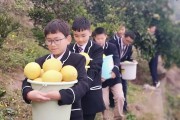柑橘橙柚種植技術(shù)_它能與什么食材一起煲湯 柑橘橙柚種植技術(shù)_它能與什么食材一起煲湯