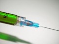 柑桔黃葉怎么辦？原因分析及科學(xué)防治方法全解析
