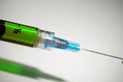 柑桔黃葉怎么辦？原因分析及科學(xué)防治方法全解析
