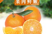 愛媛是橙子還是橘子呢圖片大全大圖高清(愛媛是橙子還是橘子呢圖片大全大圖高清頭像)