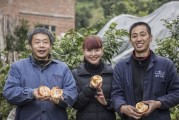 愛媛嫁接在紅橘砧上的表現(xiàn)_農(nóng)村種什么柑橘好