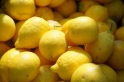 陽光一號領(lǐng)銜！柑橘更好三大品種解析與高產(chǎn)種植指南