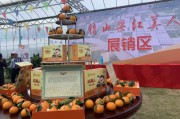 象山大棚柑橘種植技術(shù)_福建漳州適合種象山紅美人的柑橘嗎