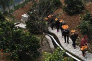 江山柑橘種植技術(shù)_CK永恒淡噴式男士香水介紹 江山柑橘種植技術(shù)_CK永恒淡噴式男士香水介紹