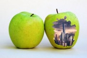 柑橘病蟲害圖譜大全大圖詳解：高清識別與科學防治指南