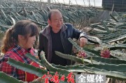 南方果樹柑橘種植技術_柑橘一年需要施幾次肥