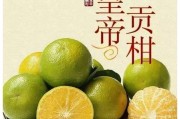 廣西皇帝柑哪里產(chǎn)(廣西皇帝柑和德慶皇帝柑哪個(gè)好)