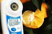 愛媛38號(hào)幼樹修剪_柑橘怎么施肥才能確保高產(chǎn)