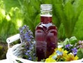 生活就像夏天柑橘樹掛青皮：苦酸自釀，甜熟需待西風(fēng)吻痕