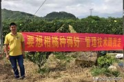 廣西柑橘種植技術(shù)圖片及價(jià)格_2021年12月份柳州有什么果可搞