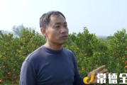 澧縣柑橘種植技術培訓_湖南的物產(chǎn)有哪些全國之最