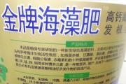 愛(ài)媛修剪方法_種點(diǎn)什么能產(chǎn)生效益