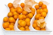 沃柑成熟期一般多久（沃柑成熟季節(jié)是幾月份）