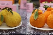 廣東柑橘脫毒基地_我國柑橘繁殖技術(shù)有哪些變化