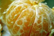 元江柑橘特早熟：北緯23°陽光味，品質(zhì)領(lǐng)鮮搶鮮上市