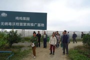 武鳴免費(fèi)學(xué)習(xí)柑橘種植技術(shù)_沃柑適合什么地方種植