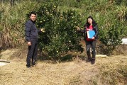 柑橘病蟲害防治技術月歷表_柑橘過了年多久清園