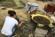 柑橘開春病蟲害有哪些防治方法_有什么藥劑防治比較好