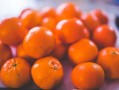 川津5號(hào)柑橘品種介紹視頻：高效栽培管理要點(diǎn)與果實(shí)特性全面解析