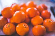 川津5號(hào)柑橘品種介紹視頻：高效栽培管理要點(diǎn)與果實(shí)特性全面解析