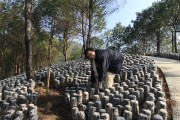 助農(nóng)驛站柑橘種植技術(shù)_你覺(jué)得哪種禮品更讓人喜歡