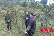 柑橘種植技術(shù)培訓(xùn)的目的_植保無(wú)人機(jī)在征戰(zhàn)柑橘植保市場(chǎng)的道路上發(fā)展怎么樣