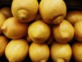 柑橘澆水能緩解凍害嗎（柑橘澆水過(guò)多怎么辦）