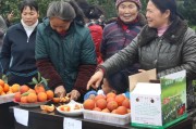 宜賓柑橘種植招聘技術(shù)員_香腸如何配料