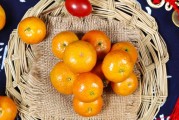 柑橘種植防蟲害管理技術(shù)_種植2年的柑橘樹