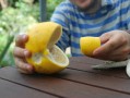 柑橘水溶肥怎么操作視頻教學(xué)（柑橘水溶肥怎么操作視頻教學(xué)全集）
