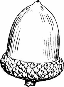 柑橘裂果怎么補(bǔ)救快呢（柑橘裂是什么?。? /></p><p>2、主要原因是赤霉素和2，4-D的濃度不合適。例如，赤霉素用于糖橙，果皮厚度小于0.8毫米，并且有許多開裂的果實；高達(dá)8，果實開裂少；超過5，柑橘不能沙化，影響品質(zhì)。</p><p style=