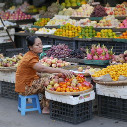 柑橘樹(shù)苗哪里買（柑橘樹(shù)苗哪里買的到）