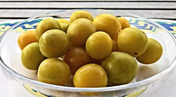 哪里有無(wú)籽蜜桔樹(shù)苗賣（中國(guó)無(wú)核蜜桔之鄉(xiāng)）
