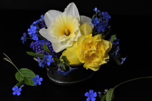柑橘味香水壁紙藝術(shù)：居家美學(xué)與芬芳靈感的完美碰撞