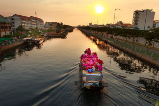 寧香柑橘產(chǎn)地哪個地區(qū)？核心產(chǎn)區(qū)分布與種植優(yōu)勢大揭秘