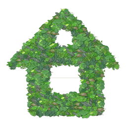 柑橘生產(chǎn)種植技術(shù)要點(diǎn)與綠色生態(tài)管理策略解析