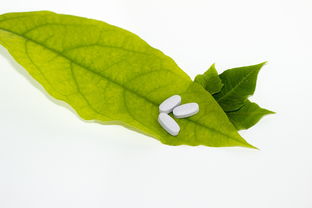 柑橘細(xì)菌性病害圖片（柑橘細(xì)菌性黃點(diǎn)病）