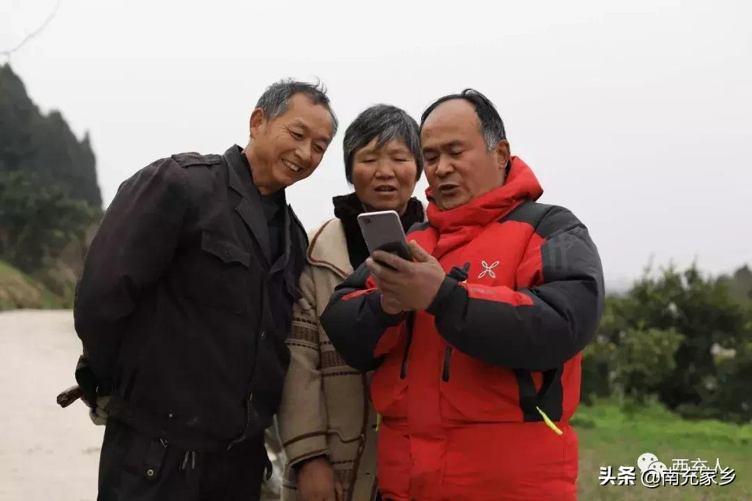 春見(jiàn)柑橘能夠冷藏嗎冬天會(huì)凍死嗎視頻_有沒(méi)有人能夠給點(diǎn)建議